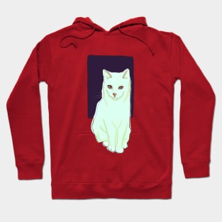 cat Hoodie